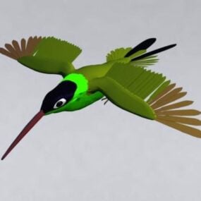 Modello 3d del colibrì