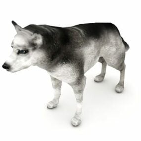 Mô hình động vật chó Husky 3d