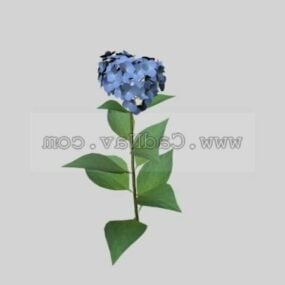 Hydrangea Flower Plant 3d model