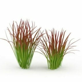 Imperata Grass 3d model