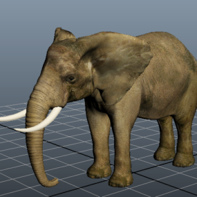भारतीय हाथी पशु 3डी मॉडल