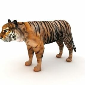 Modelo 3d de animal tigre indiano