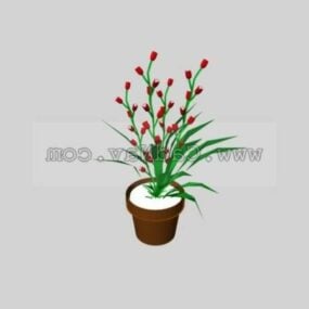 Indoor Plants Flowers Plant 3d model