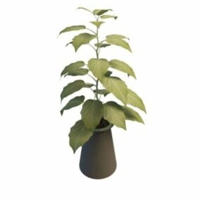 Indendørs dekorative plantekrukker 3d-model