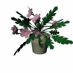 Indoor Flower Bonsai 3d model