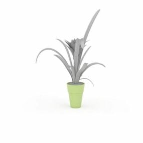 Indoor Plants With Broad Leaves 3d model