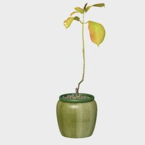 Indoor Potted Plant 3D-malli