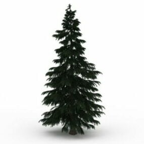 Italian Cypress Pine Tree 3d model