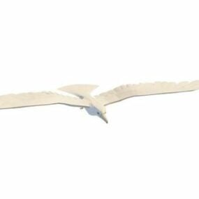 Ivory Gull Animal τρισδιάστατο μοντέλο