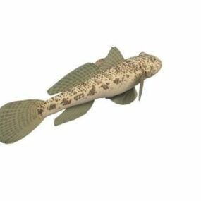 Japanese Dragon Goby Fish 3d model
