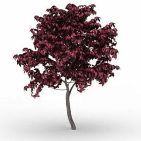 Model 3D japońskiego drzewa klonowego czerwonego
