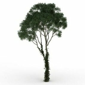 杜松树 3d模型