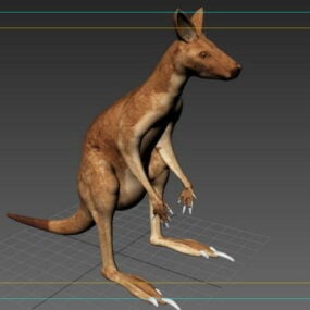 3д модель животного кенгуру