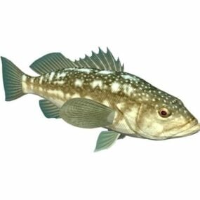 نموذج حيواني لسمكة عشب البحر باس ثلاثي الأبعاد