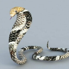 3d модель королівської змії кобри