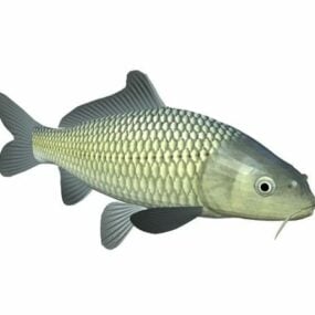 잉어 물고기 동물 3d 모델