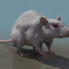 Лаборатория животных Крыса