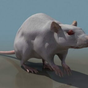 rat Rigged Model 3d