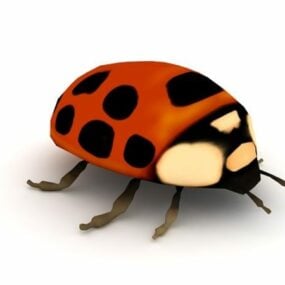 Ladybird Beetle Animal 3d model