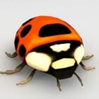 Ladybug Insect Animal