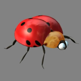 Ladybugs 3d model