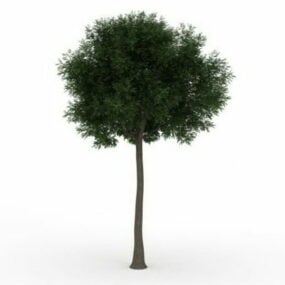 مدل سه بعدی درخت کاج منظره