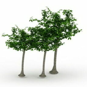 Modello 3d degli alberi del paesaggio