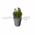 Landscaping Ball Cactus Character
