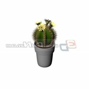 Landscaping Ball Cactus Character 3d-modell