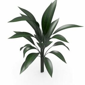 Stor bredbladplante 3d-modell