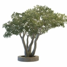 Grand arbre de jardinière modèle 3D