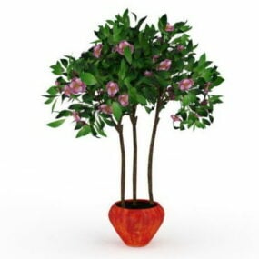 Large Potted Flowering Tree 3d model