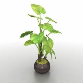 Modello 3d di grandi piante in vaso
