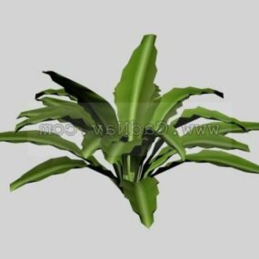 3d модель листяної рослини