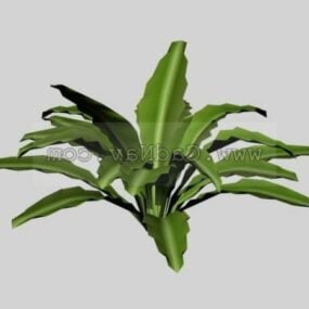 Leafy Plants 3d model