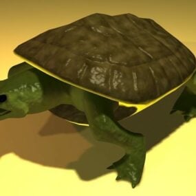 Turtle Fighter Character 3d-modell
