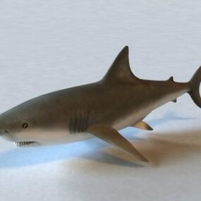 Sailor Ship With Shark Attack 3d model