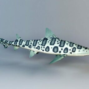 3д модель леопардовой акулы