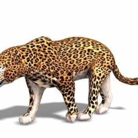 3д модель дикого леопарда Африки