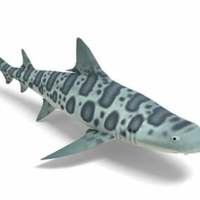 דגם תלת מימד של כריש נמר