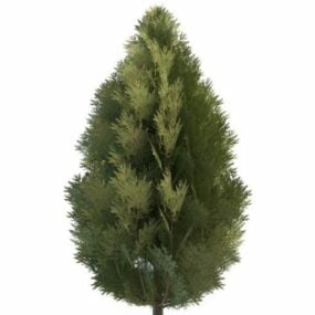 نموذج شجرة السرو ليلاند ثلاثي الأبعاد