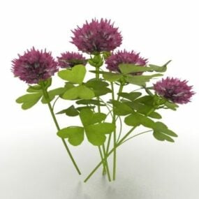 Světle fialový květ rostlina 3D model