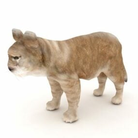 Lion Cub Animal 3d model