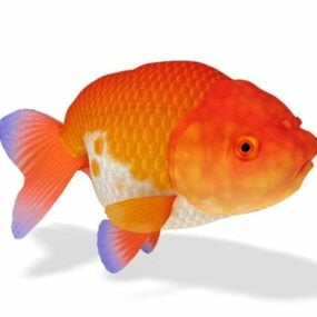 Modelo 3d animal de peixe dourado com cabeça de leão