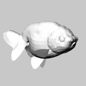 3d модель Золота рибка Ранчу Левова голова