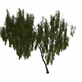 Model 3d Pohon Willow Kecil