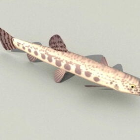 Loach Fish 3d model