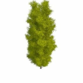 Τρισδιάστατο μοντέλο Longleaf Pine Tree
