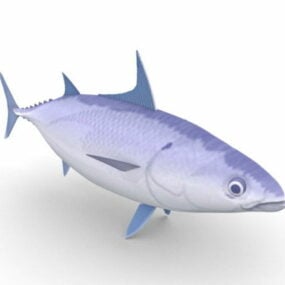 3д модель длиннохвостого тунца-рыбы