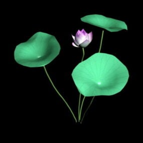 3d модель квітки лотоса